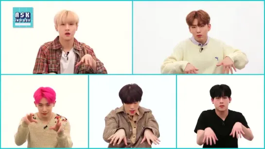 [VK][06.03.19] Ask In A Box Special: MONSTA X - Alligator