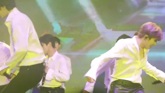 [19.05.19][Fancam] MONSTA X - Alligator (Focus Shownu) @ AFMF