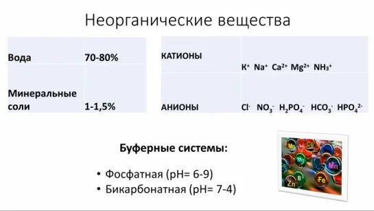 1. Химия клетки - неорганика