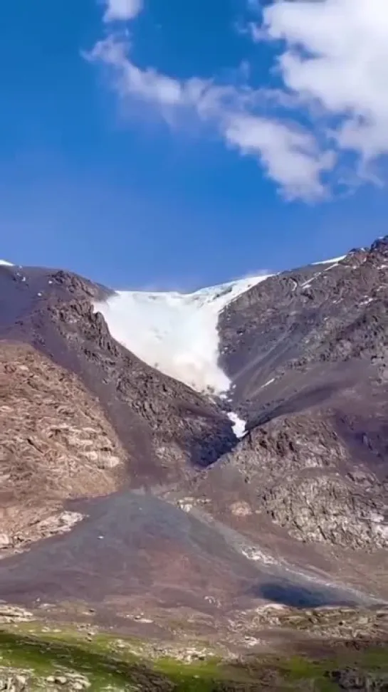 Видео от Выживший