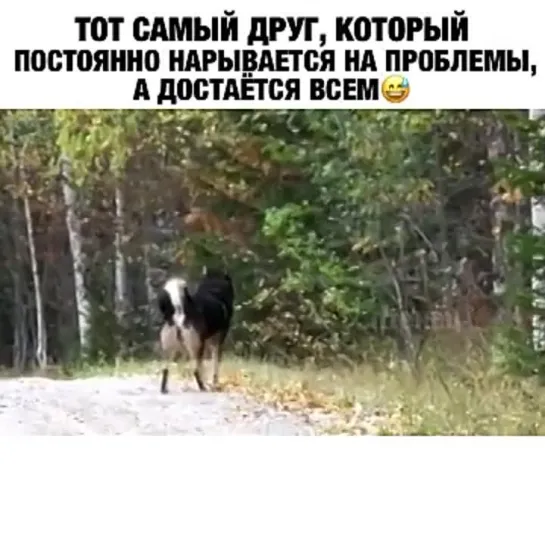 Видео Долбоёба