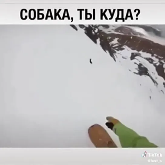 Видео Долбоёба