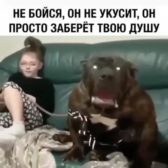 Видео от Вот это смешно :D