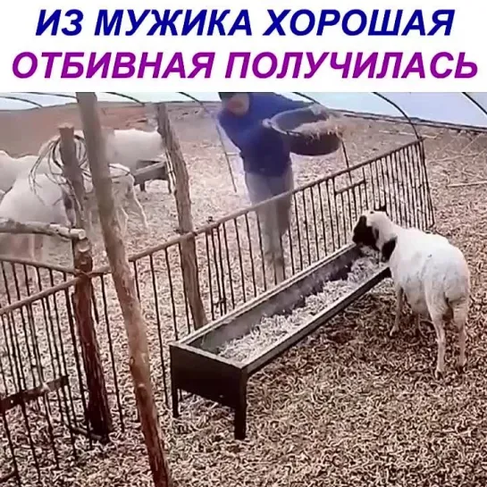 Видео от КОМИКСЫ