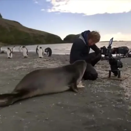 — Ну кто так фоткает