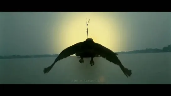 Fan-video Raavanan