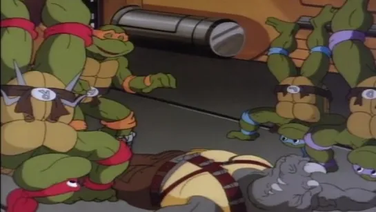 3x23 Tortugas Voladoras