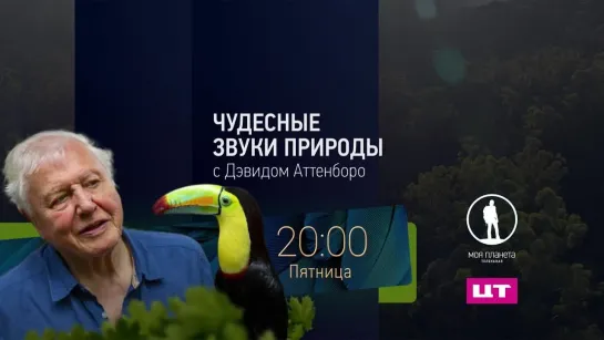 Чудесные звуки природы с Дэвидом Аттенборо