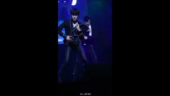 [VK][26.11.17][Fancam] CSAT D+3 Concert