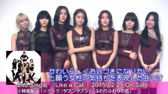 AOA Japan 2nd Single Like A Cat Message from AOA