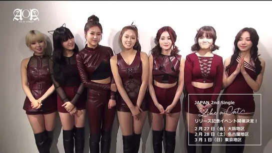 AOA JAPAN 2nd SINGLE「Like a Cat」