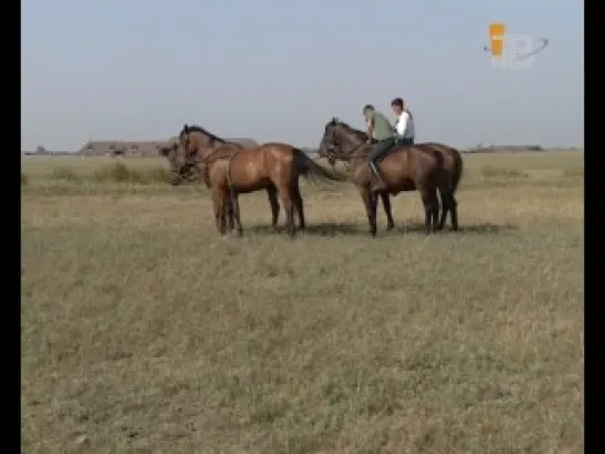 Документальный сериал "Всадники / The Horsemen."(2004)