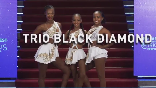 Budapest Circus Festival / Trio Black Diamond (2020) FHD