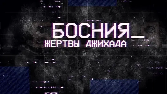 Босния. Жертвы джихада (2022)