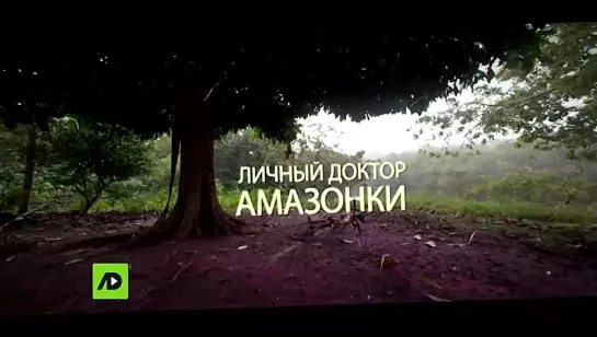 Личный доктор Амазонки (2017)