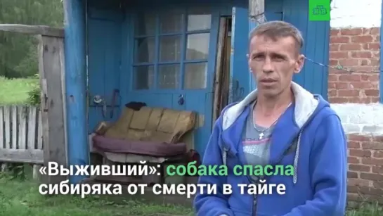 «Выживший»: сибиряк, неделю блуждавший в тайге, выбрался живым