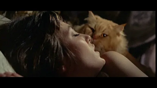 Siete muertos en el ojo del gato  1973