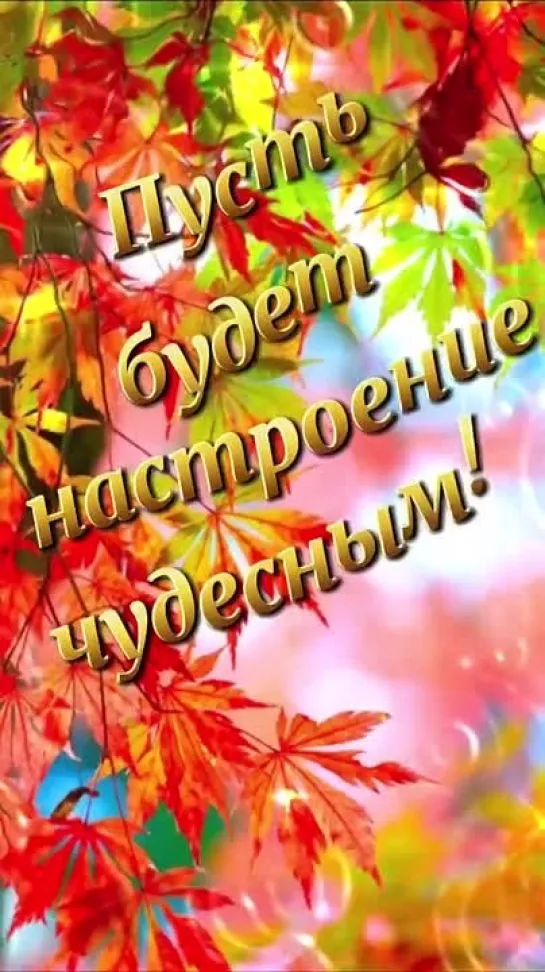 С добрым субботним осенним утром! Видео-открытка