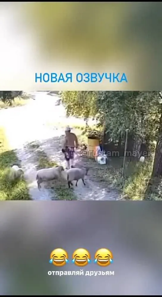 Видео от Приколы в Whatsapp