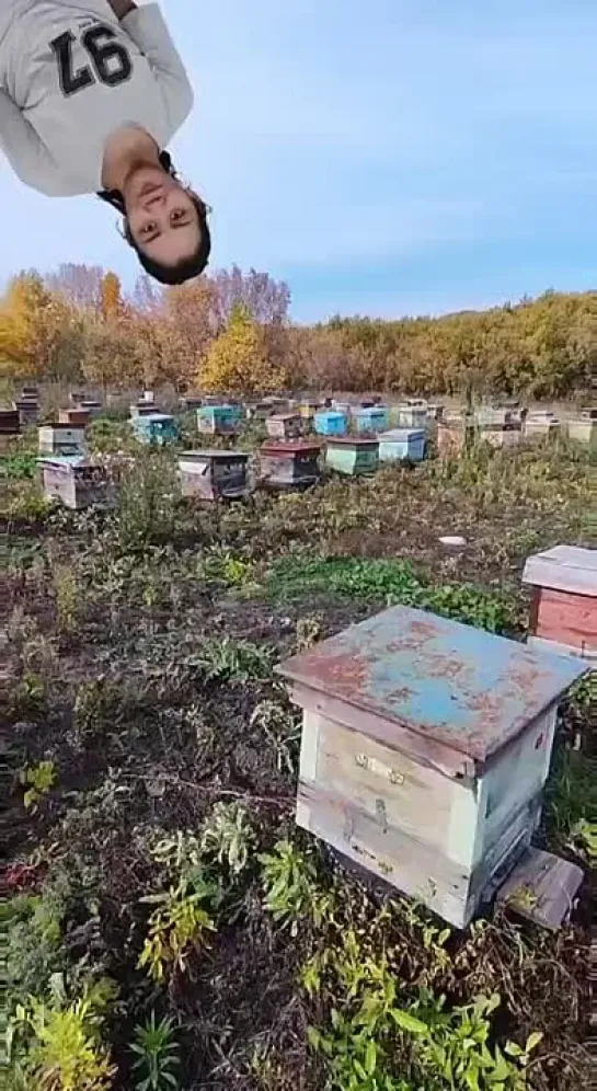 Видео от Приколы в Whatsapp