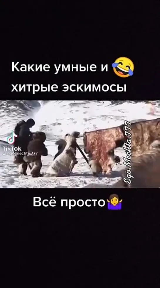 Видео от Приколы в Whatsapp