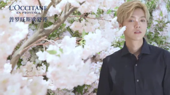 [VIDEO] Luhan @ L'Occitane En Provence Cherry Blossom Collection