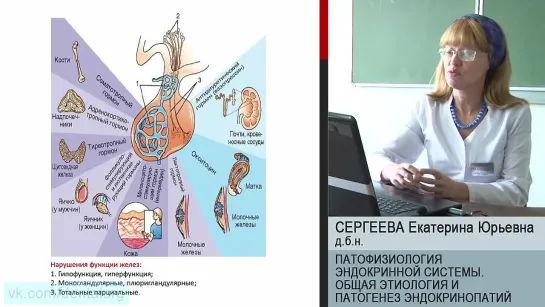 14. Патофизиология эндокринной системы. Общая этиология и патогенез эндокринопатий