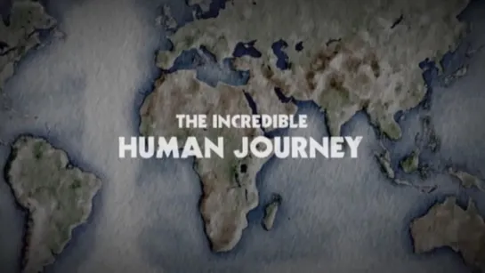 Путешествие человека 1 серия. Из Африки / The Incredible Human Journey (2009)