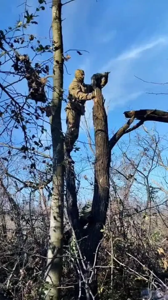 Видео от РУССКАЯ ВЕСНА (rusvesna.su)