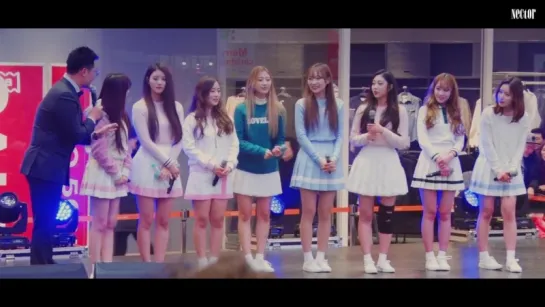 [161217] Lovelyz - Talk @ «Christmas Special Concert»