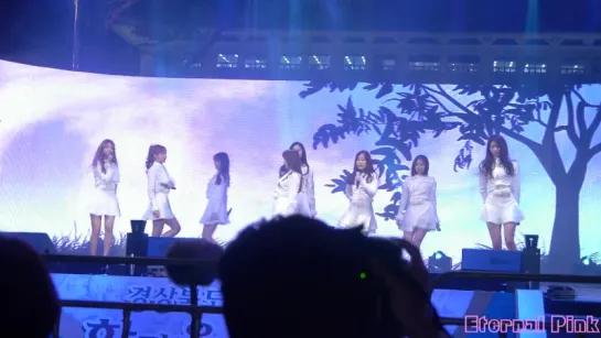 [160528] Lovelyz - Destiny @ «Gyeongsang Inauguration Music Festival»