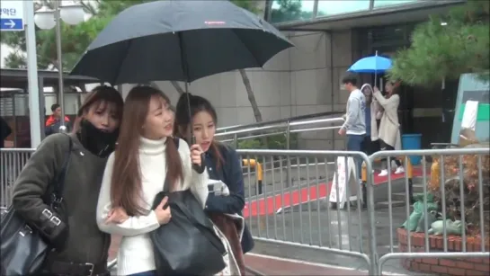 [151113] Lovelyz @ До/после Music Bank