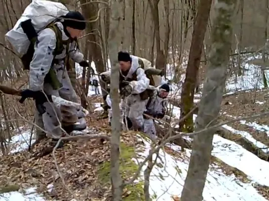 Видео от Романа Хорса