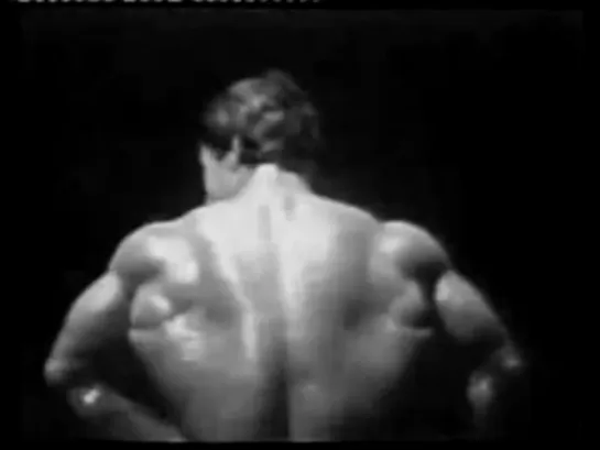 Battle for The Golden Age of Bodybuilding