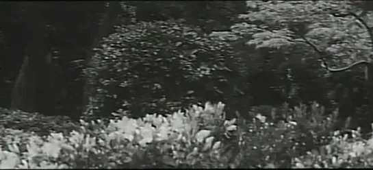 Ниндзя 6 / Синоби 6 / Shinobi no mono: Iga-yashiki (Кадзуо Мори,1965)