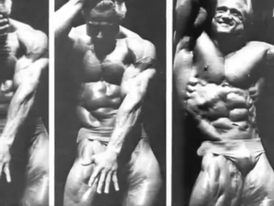 'The Golden Eagle TOM PLATZ'