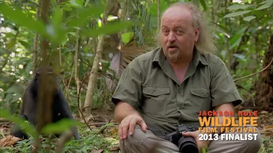 Bill Bailey Jungle Hero  Wallace in the Spice Island   (Host or Presenter-Led)