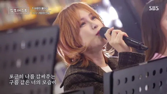 Gummy (거미) - «The Wind Blows»