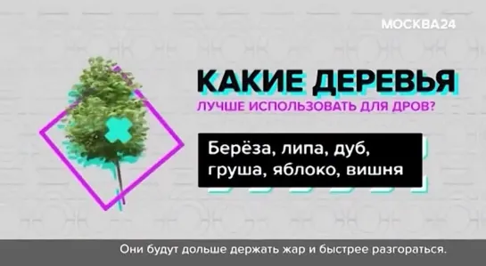 На чем лучше готовить шашлыки дрова или угли Городской стандарт - Москва 24 (1)