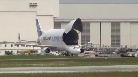 Грузовой самолет - Airbus Beluga