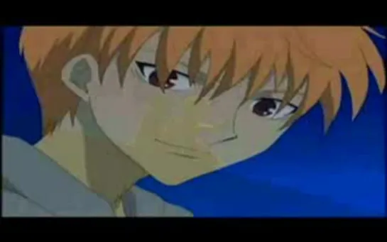 Fruits Basket Little Butterfly