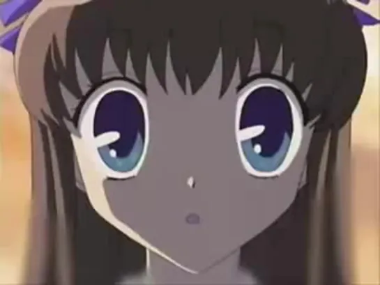 Fruits Basket AMV