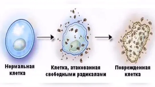 Все что нам нужно знать о воде, за 20 минут