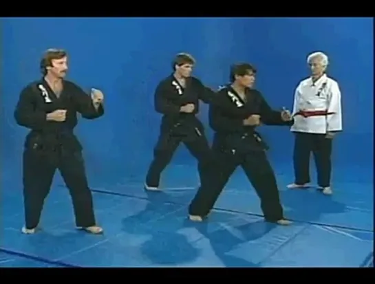 Hapkido Bong Soo Han Faixa Laranja Aula 06