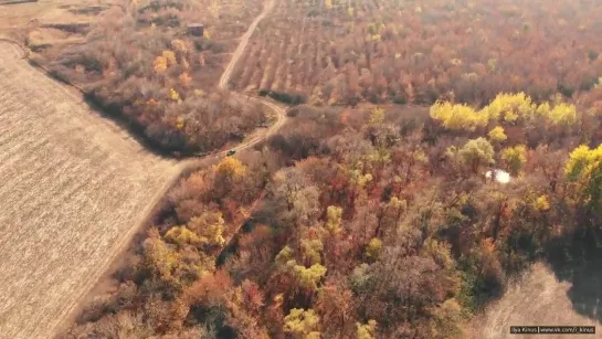 Алексеевский лес на слиянии реки Миус и Крынки 17.11.2019 Ростов-на-Дону Главный