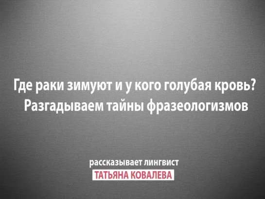 Призыв отвечает: Разгадываем тайны фразеологизмов