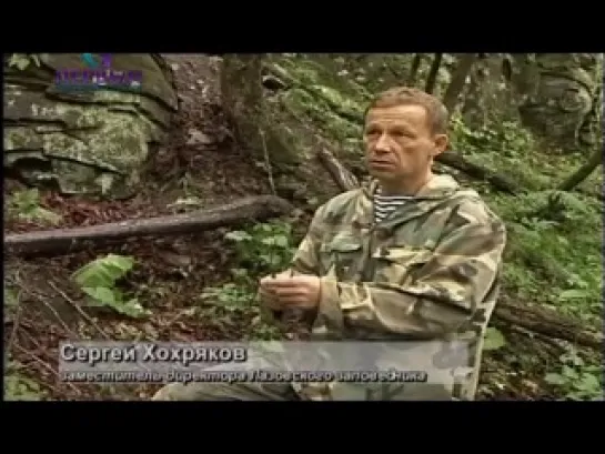 Дальневосточный леопард