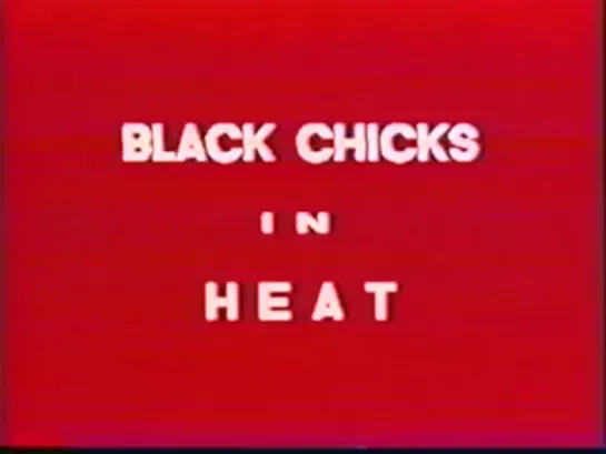 фильм:Black chicks in heat💦💦💦