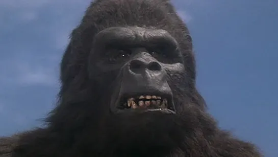 Кинг Конг Жив (King Kong Lives) (1986)