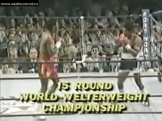 1986-03-09 Donald Curry vs Eduardo Rodriguez (WBA Welterweight Title)